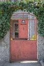 Old houseÃ¢â¬â¢s metal decorative aged door with mailbox and sign with 16 number, covered in plants, urban concept, red door